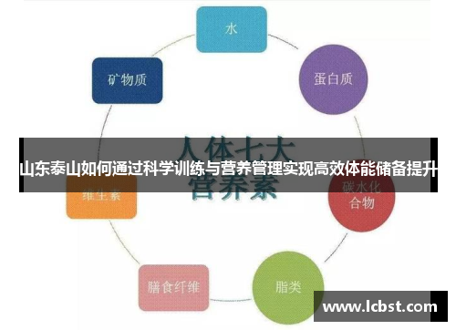 山东泰山如何通过科学训练与营养管理实现高效体能储备提升