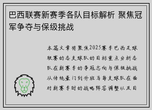 巴西联赛新赛季各队目标解析 聚焦冠军争夺与保级挑战